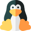 linux