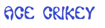 Ace Crikey Font