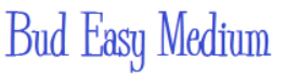 Bud Easy Medium Font