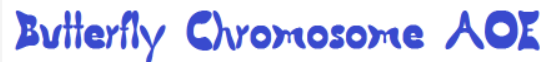 Butterfly Chromosome AOE Font