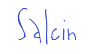 Salcin font