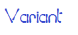 Variant 4 Font