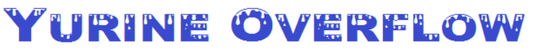 Yurine Overflow